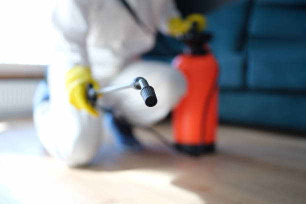 Biohazard Mold Removal in Elko, NV