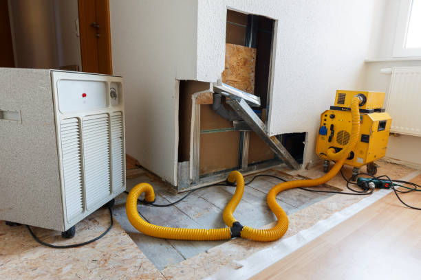 Environmental Consulting for Mold Prevention in Elko, NV